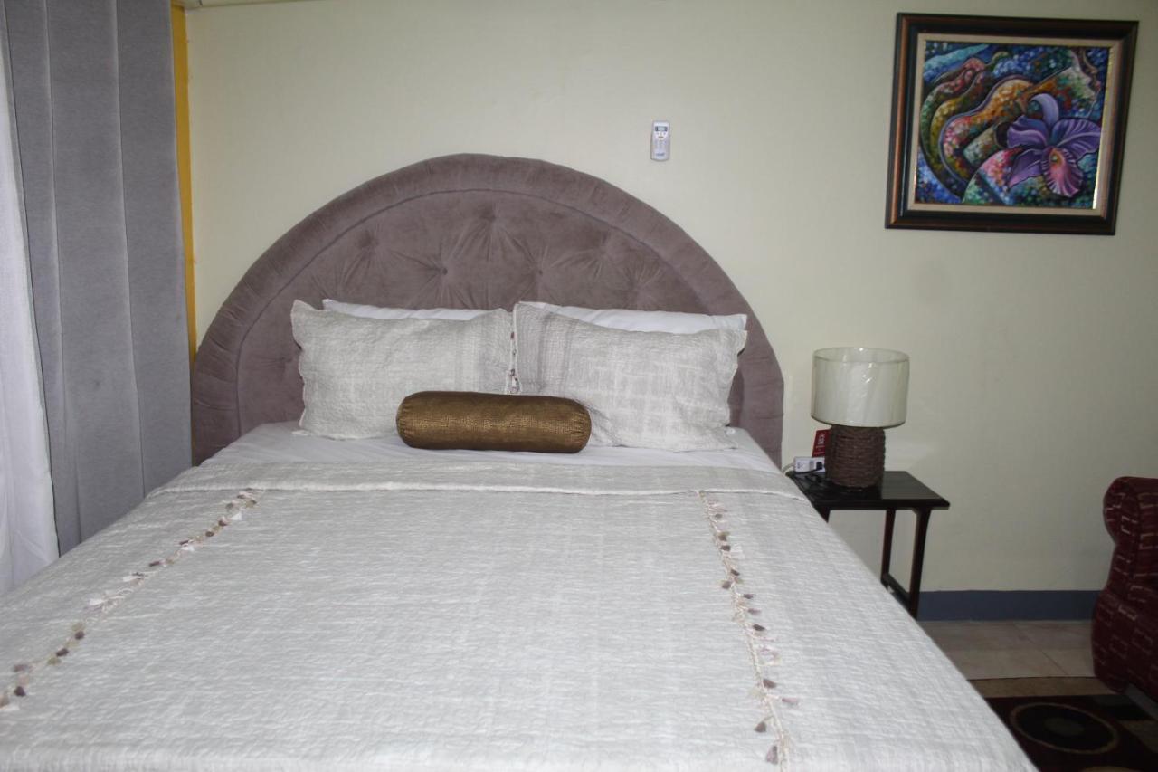 Comfy, Central & Elegant Studio New Κίνγκστον Εξωτερικό φωτογραφία